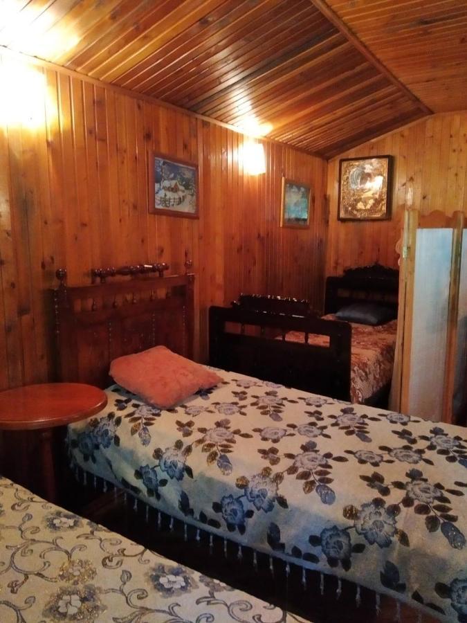 Domik S Saunoy Na Ogiyenko Apartman Kamjanyi Potoki Kültér fotó